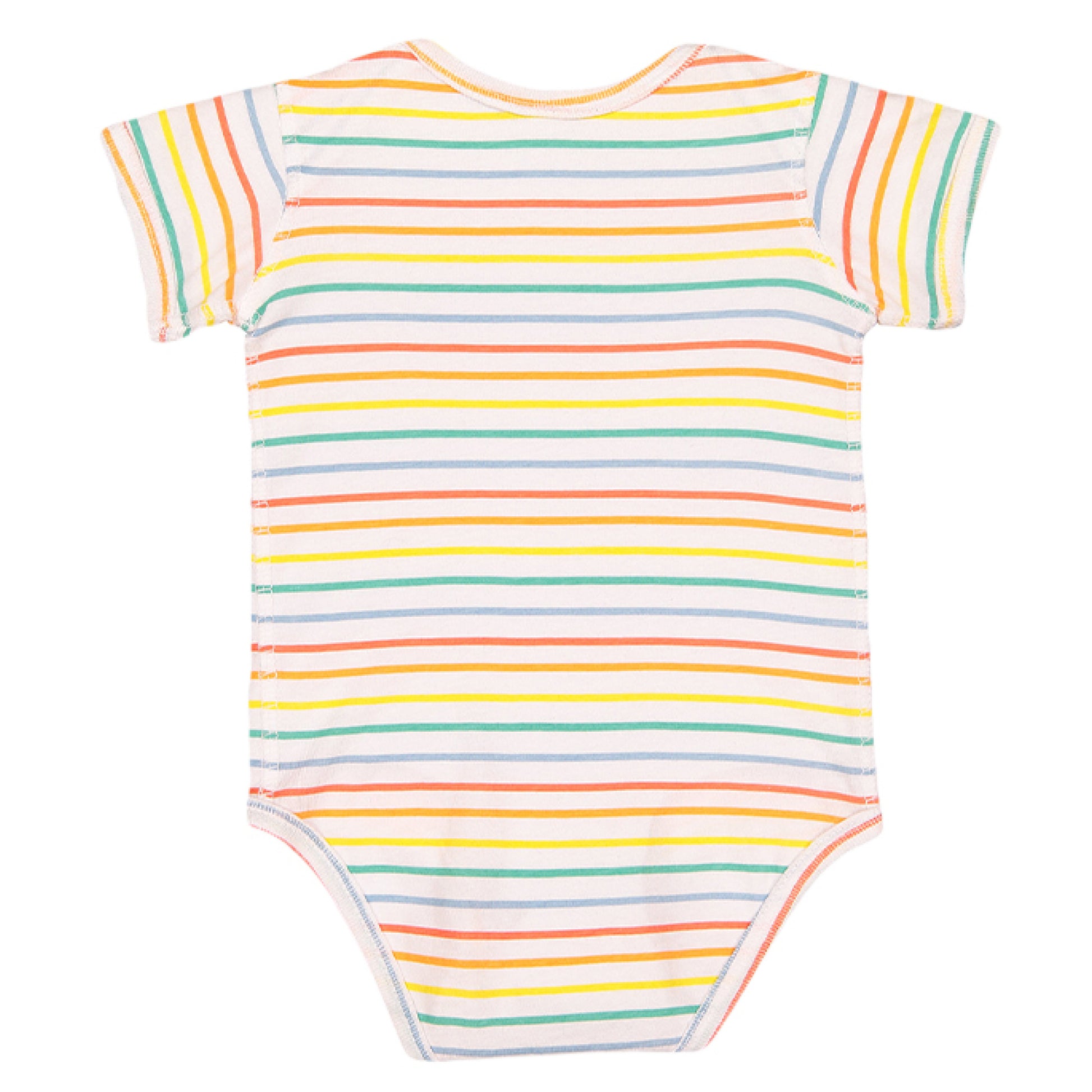 Rainbow Stripe - BACK